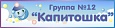 Табличка с названием группы Капитошка 0,5*0,2м арт. 7390
