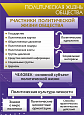 Стенд информационный для кабинета обществознания "Политическая жизнь общества" 0,5*0,7м. арт.ОБ3712