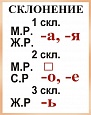 Стенд учебный СКЛОНЕНИЯ 0,4*0,5 м арт 1422