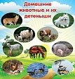 Стенд для детских садов ДОМАШНИЕ ЖИВОТНЫЕ 0,7*0,75м арт. 906