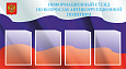 Стенд информационный Антикоррупция 4 кармана А4 1,1*0,6м арт.АК654