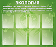 Информационный стенд в кабинет биологии "ЭКОЛОГИЯ" 8 карманов А4 1,2*1м. арт.Ш1287
