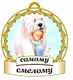 Медаль САМОМУ смелому 8*8см арт. 3744