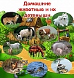 Стенд для детских садов ДОМАШНИЕ ЖИВОТНЫЕ 0,7*0,75м арт. 905