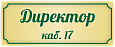 Табличка на кабинет Директор 0,12*0,3м арт. 7417