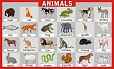 Стенд для школы для кабинета Иностранного языка ANIMALS Размер 1х0,6м арт.3552
