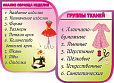Стенд для кабинета технологии "ГРУППЫ ТКАНЕЙ" 1,1*0,8м арт. 3659