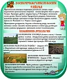 Патриотический стенд для Сосновского района ДОСТОПРИМЕЧАТЕЛЬНОСТИ 0,45*0,53м арт. 5225